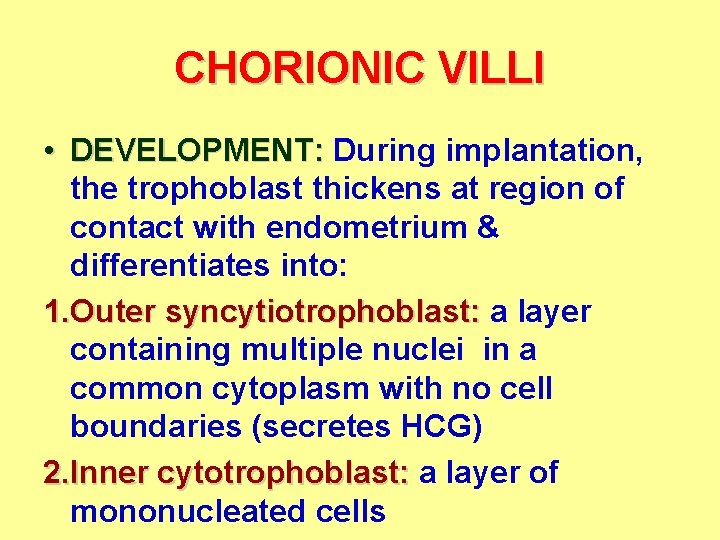 CHORIONIC VILLI • DEVELOPMENT: During implantation, the trophoblast thickens at region of contact with