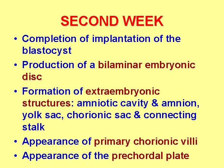 SECOND WEEK • Completion of implantation of the blastocyst • Production of a bilaminar