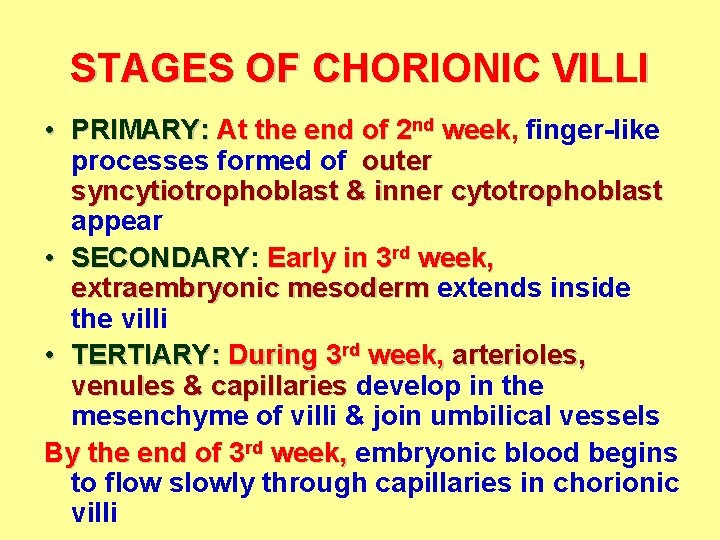 STAGES OF CHORIONIC VILLI • PRIMARY: At the end of 2 nd week, week
