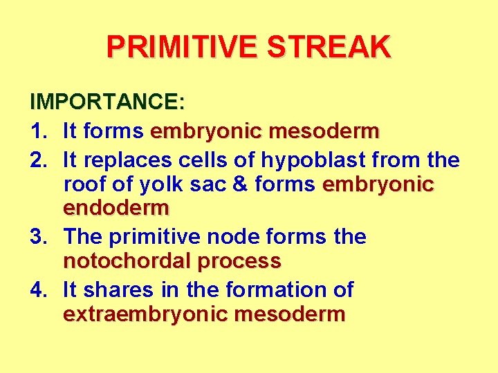 PRIMITIVE STREAK IMPORTANCE: 1. It forms embryonic mesoderm 2. It replaces cells of hypoblast