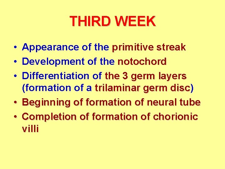 THIRD WEEK • Appearance of the primitive streak • Development of the notochord •