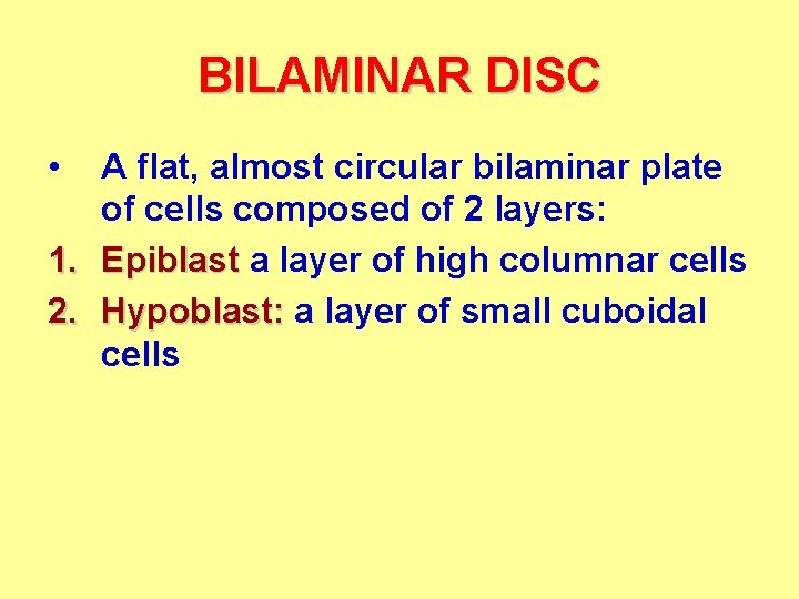 BILAMINAR DISC • A flat, almost circular bilaminar plate of cells composed of 2