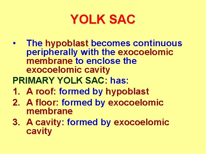 YOLK SAC • The hypoblast becomes continuous peripherally with the exocoelomic membrane to enclose