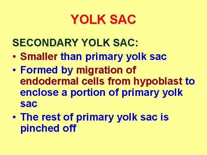 YOLK SAC SECONDARY YOLK SAC: • Smaller than primary yolk sac • Formed by
