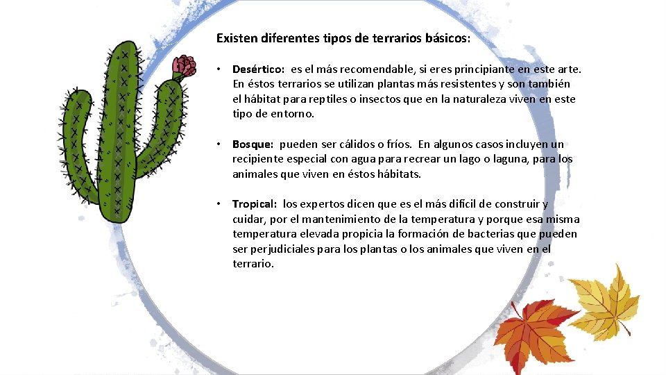 Existen diferentes tipos de terrarios básicos: • Desértico: es el más recomendable, si eres
