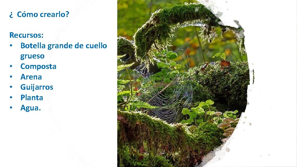¿ Cómo crearlo? Recursos: • Botella grande de cuello grueso • Composta • Arena