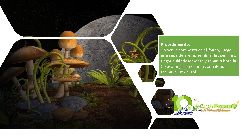 Procedimiento: Coloca la composta en el fondo, luego una capa de arena, sembrar las