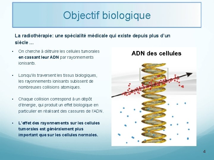 Objectif biologique La radiothérapie: une spécialité médicale qui existe depuis plus d’un siècle …