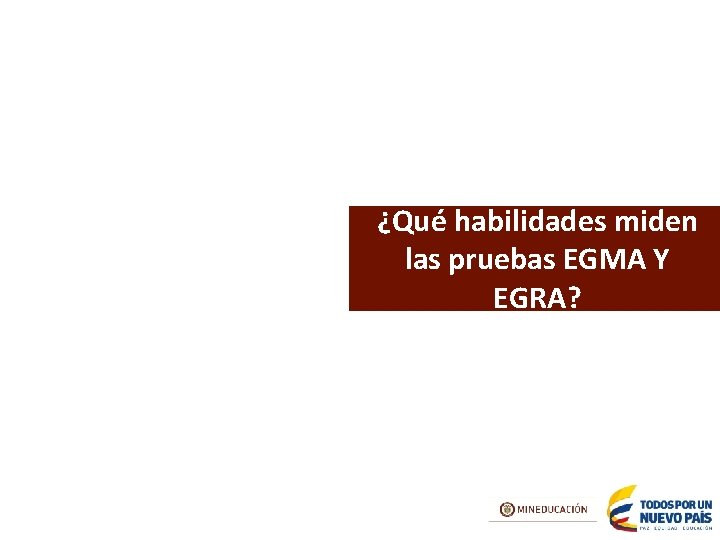 ¿Qué habilidades miden las pruebas EGMA Y EGRA? 