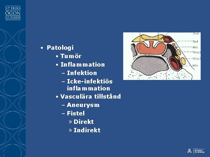  • Patologi • Tumör • Inflammation – Infektion – Icke-infektiös inflammation • Vasculära