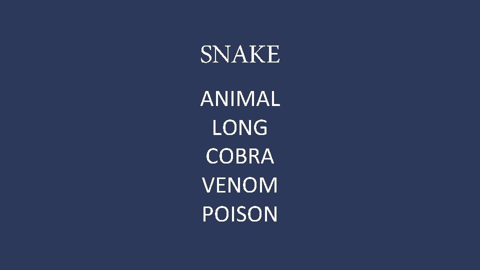 SNAKE ANIMAL LONG COBRA VENOM POISON 