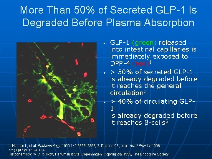 More Than 50% of Secreted GLP-1 Is Degraded Before Plasma Absorption • • •