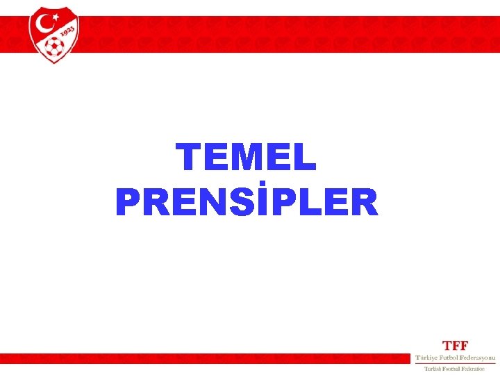 TEMEL PRENSİPLER 