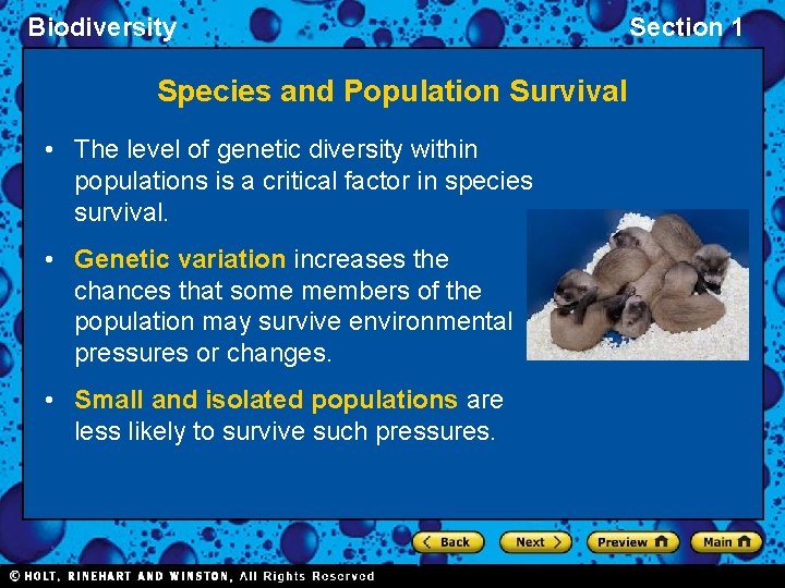 Biodiversity Species and Population Survival • The level of genetic diversity within populations is