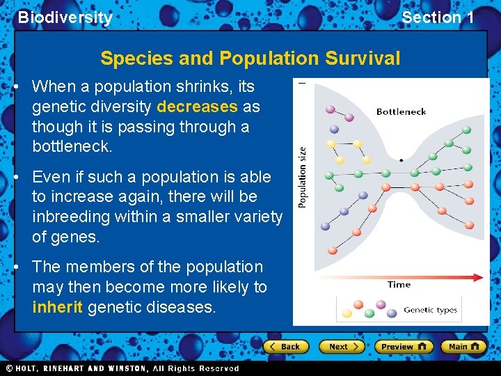 Biodiversity Species and Population Survival • When a population shrinks, its genetic diversity decreases