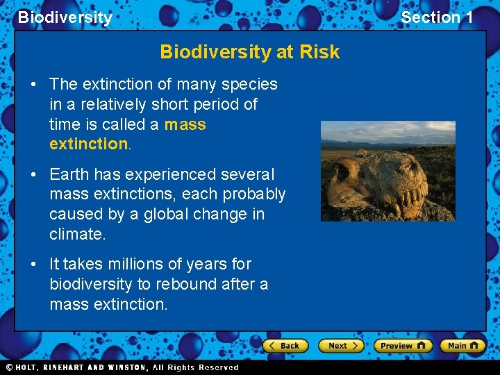 Biodiversity Section 1 Biodiversity at Risk • The extinction of many species in a