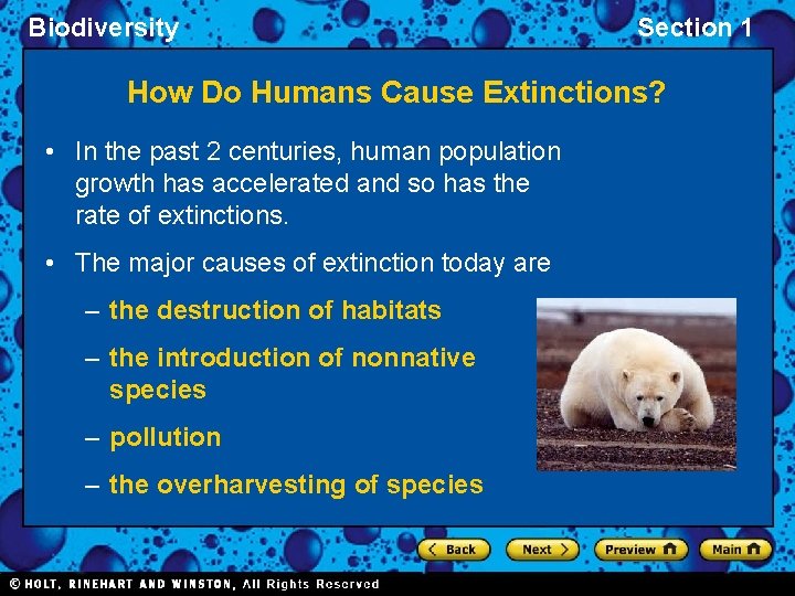 Biodiversity Section 1 How Do Humans Cause Extinctions? • In the past 2 centuries,