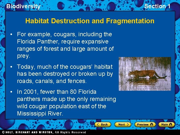 Biodiversity Section 1 Habitat Destruction and Fragmentation • For example, cougars, including the Florida