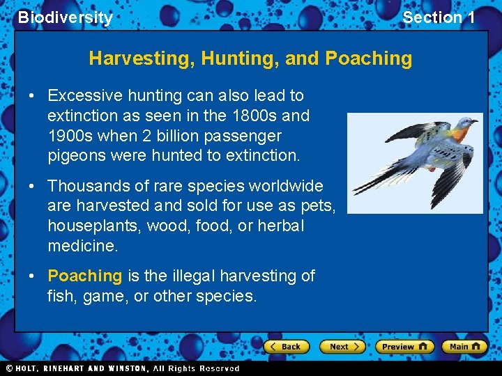 Biodiversity Section 1 Harvesting, Hunting, and Poaching • Excessive hunting can also lead to