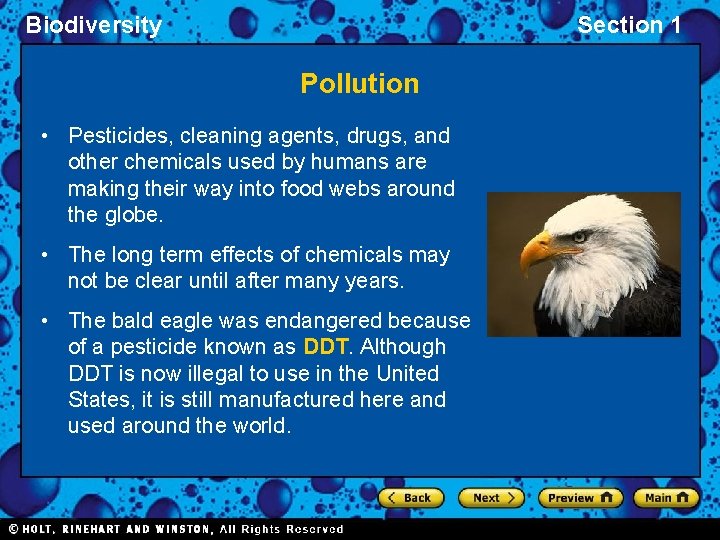 Biodiversity Section 1 Pollution • Pesticides, cleaning agents, drugs, and other chemicals used by