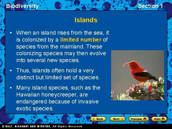 Biodiversity Section 1 Islands • When an island rises from the sea, it is