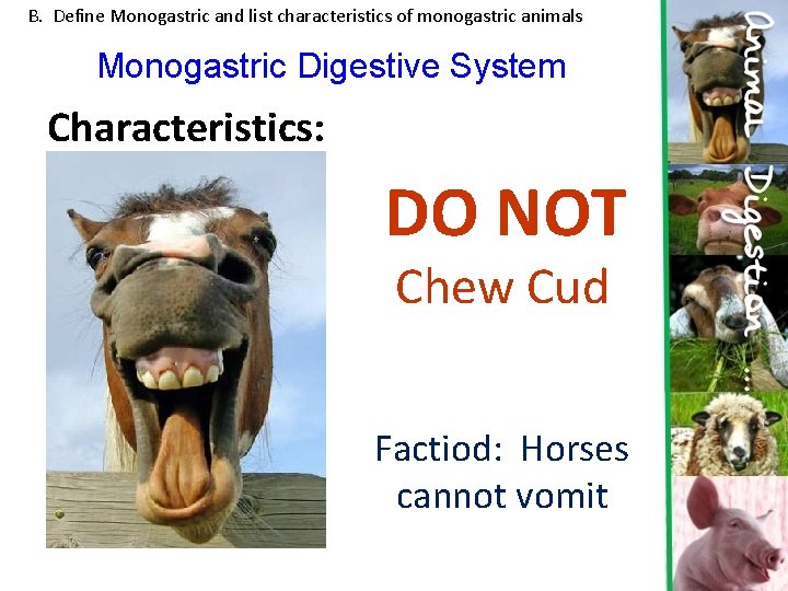 B. Define Monogastric and list characteristics of monogastric animals Monogastric Digestive System Characteristics: DO