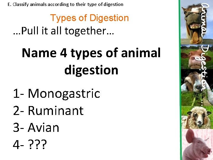 E. Classify animals according to their type of digestion Types of Digestion …Pull it