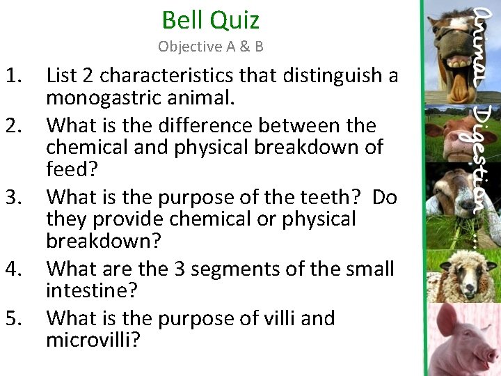 Bell Quiz Objective A & B 1. List 2 characteristics that distinguish a monogastric