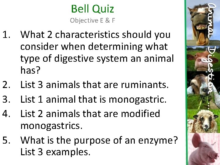 Bell Quiz Objective E & F 1. What 2 characteristics should you consider when