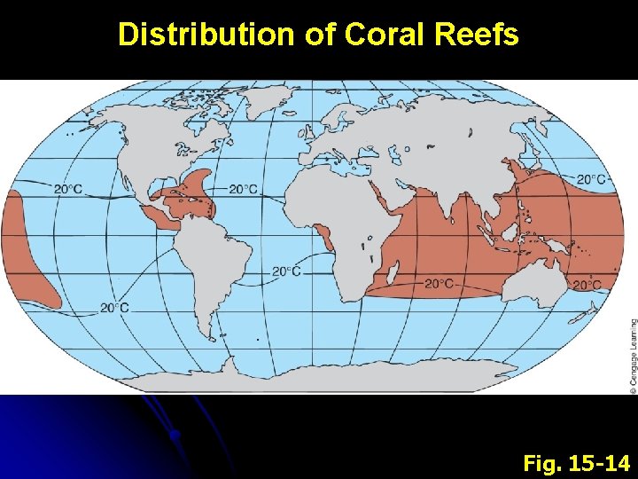 Distribution of Coral Reefs Fig. 15 -14 