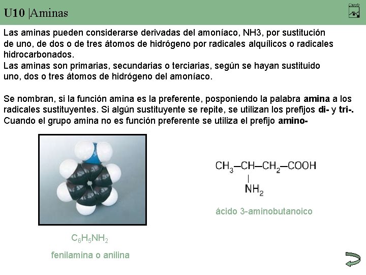 U 10 |Aminas Las aminas pueden considerarse derivadas del amoníaco, NH 3, por sustitución