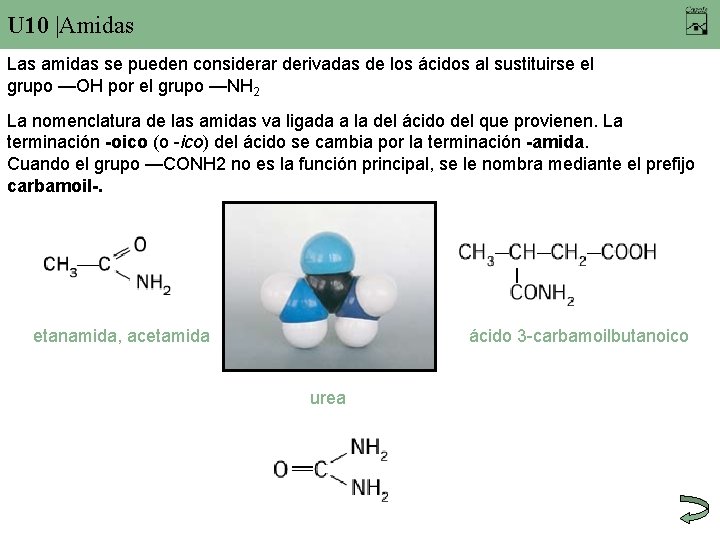 U 10 |Amidas Las amidas se pueden considerar derivadas de los ácidos al sustituirse