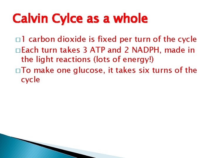 Calvin Cylce as a whole � 1 carbon dioxide is fixed per turn of