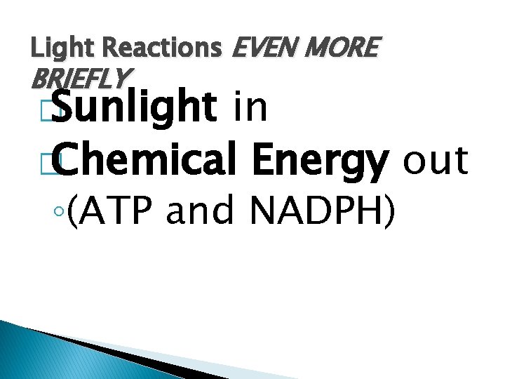 Light Reactions EVEN MORE BRIEFLY � Sunlight in � Chemical Energy out ◦(ATP and