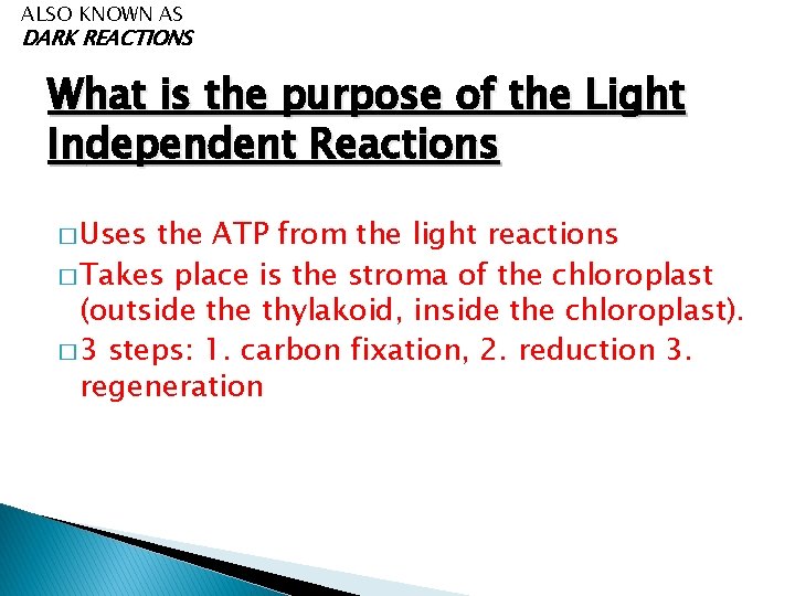 ALSO KNOWN AS DARK REACTIONS What is the purpose of the Light Independent Reactions