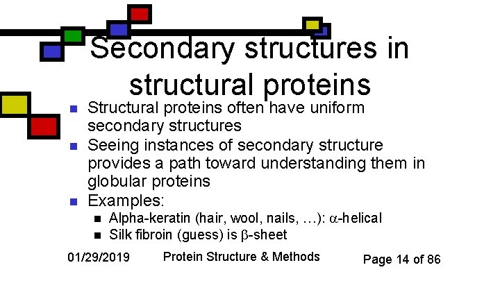 Secondary structures in structural proteins n n n Structural proteins often have uniform secondary