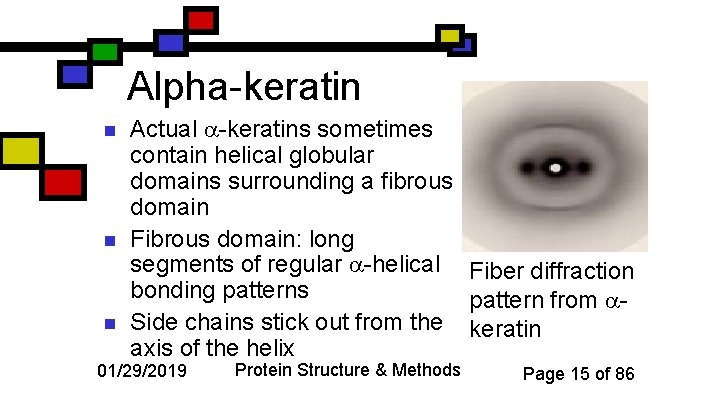 Alpha-keratin n Actual -keratins sometimes contain helical globular domains surrounding a fibrous domain Fibrous