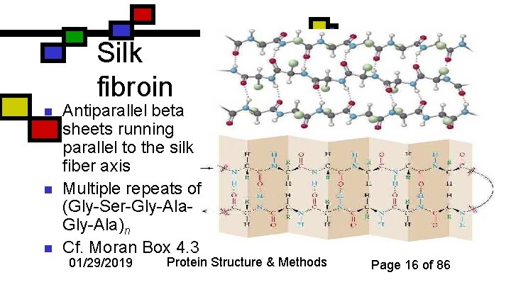 Silk fibroin n Antiparallel beta sheets running parallel to the silk fiber axis Multiple