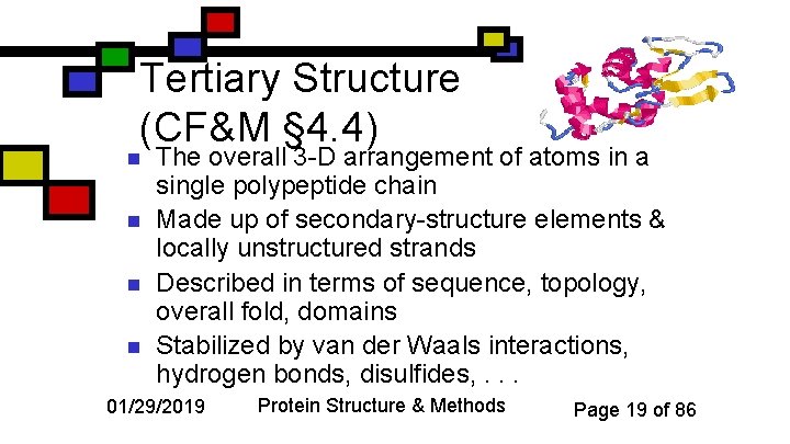 Tertiary Structure (CF&M § 4. 4) n n The overall 3 -D arrangement of