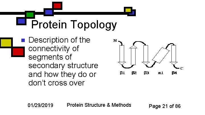 Protein Topology n Description of the connectivity of segments of secondary structure and how