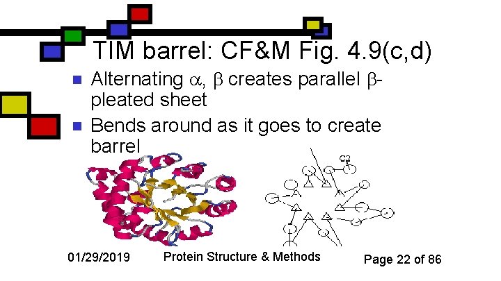 TIM barrel: CF&M Fig. 4. 9(c, d) n n Alternating , creates parallel pleated