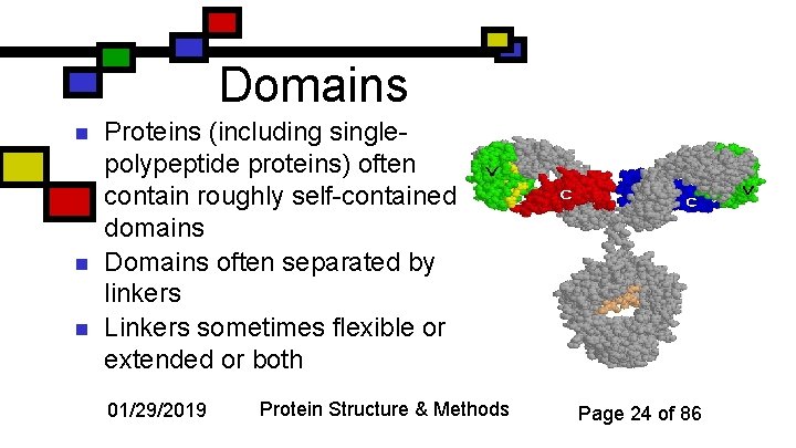 Domains n n n Proteins (including singlepolypeptide proteins) often contain roughly self-contained domains Domains