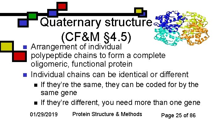 Quaternary structure (CF&M § 4. 5) n n Arrangement of individual polypeptide chains to