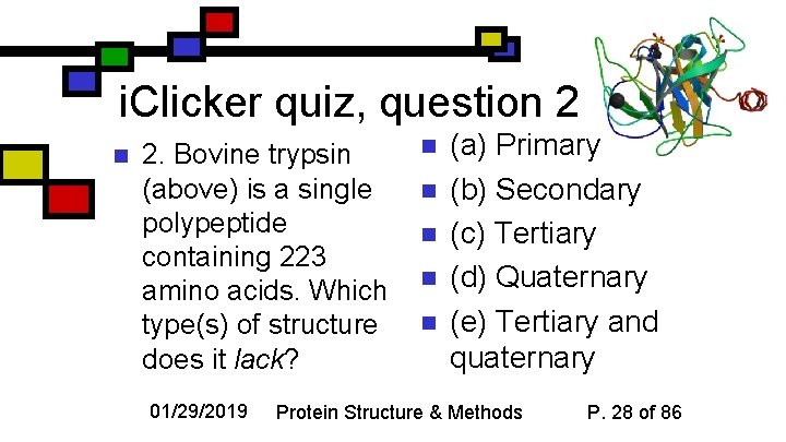 i. Clicker quiz, question 2 n 2. Bovine trypsin (above) is a single polypeptide