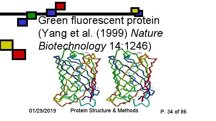 Green fluorescent protein (Yang et al. (1999) Nature Biotechnology 14: 1246) 01/29/2019 Protein Structure