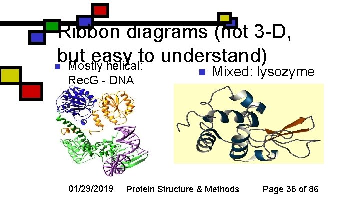 Ribbon diagrams (not 3 -D, but easy to understand) n Mostly helical: Rec. G