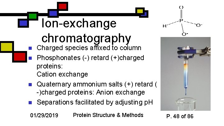 Ion-exchange chromatography n n Charged species affixed to column Phosphonates (-) retard (+)charged proteins: