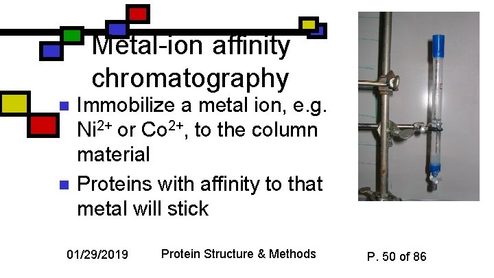 Metal-ion affinity chromatography n n Immobilize a metal ion, e. g. Ni 2+ or