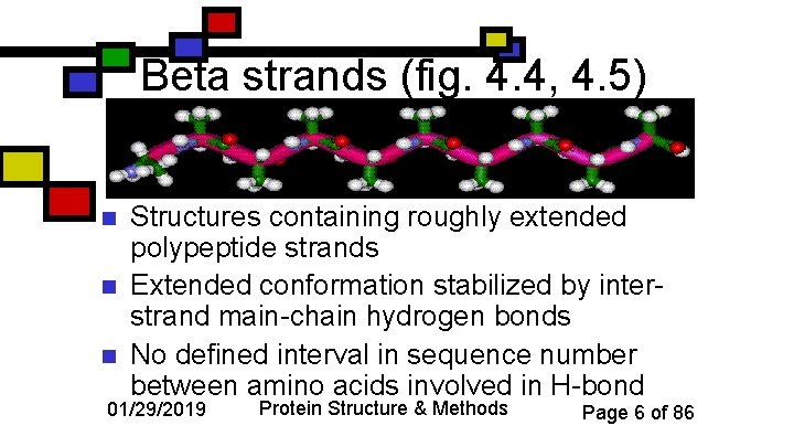Beta strands (fig. 4. 4, 4. 5) n n n Structures containing roughly extended