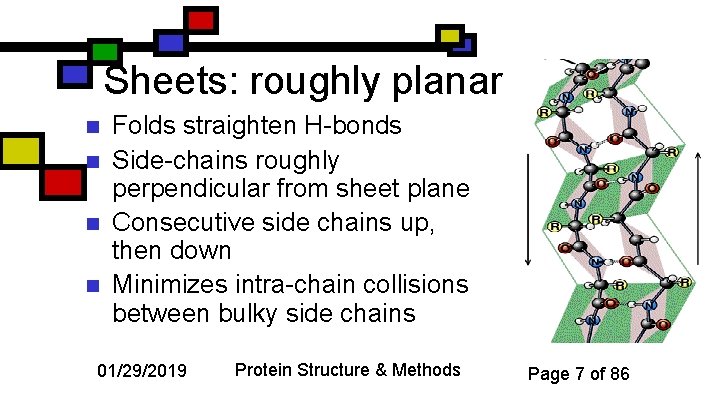 Sheets: roughly planar n n Folds straighten H-bonds Side-chains roughly perpendicular from sheet plane